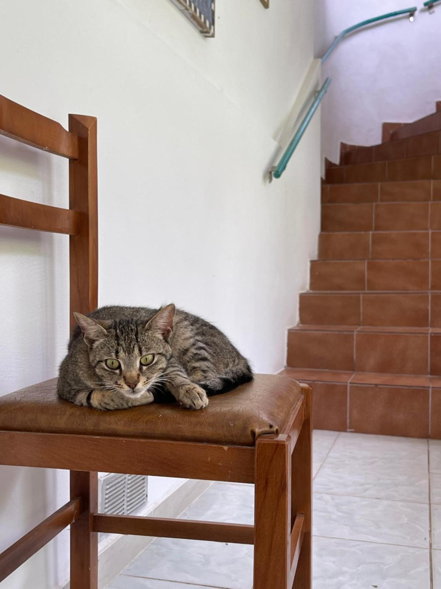 Villa Mance Μπεράτ Εξωτερικό φωτογραφία