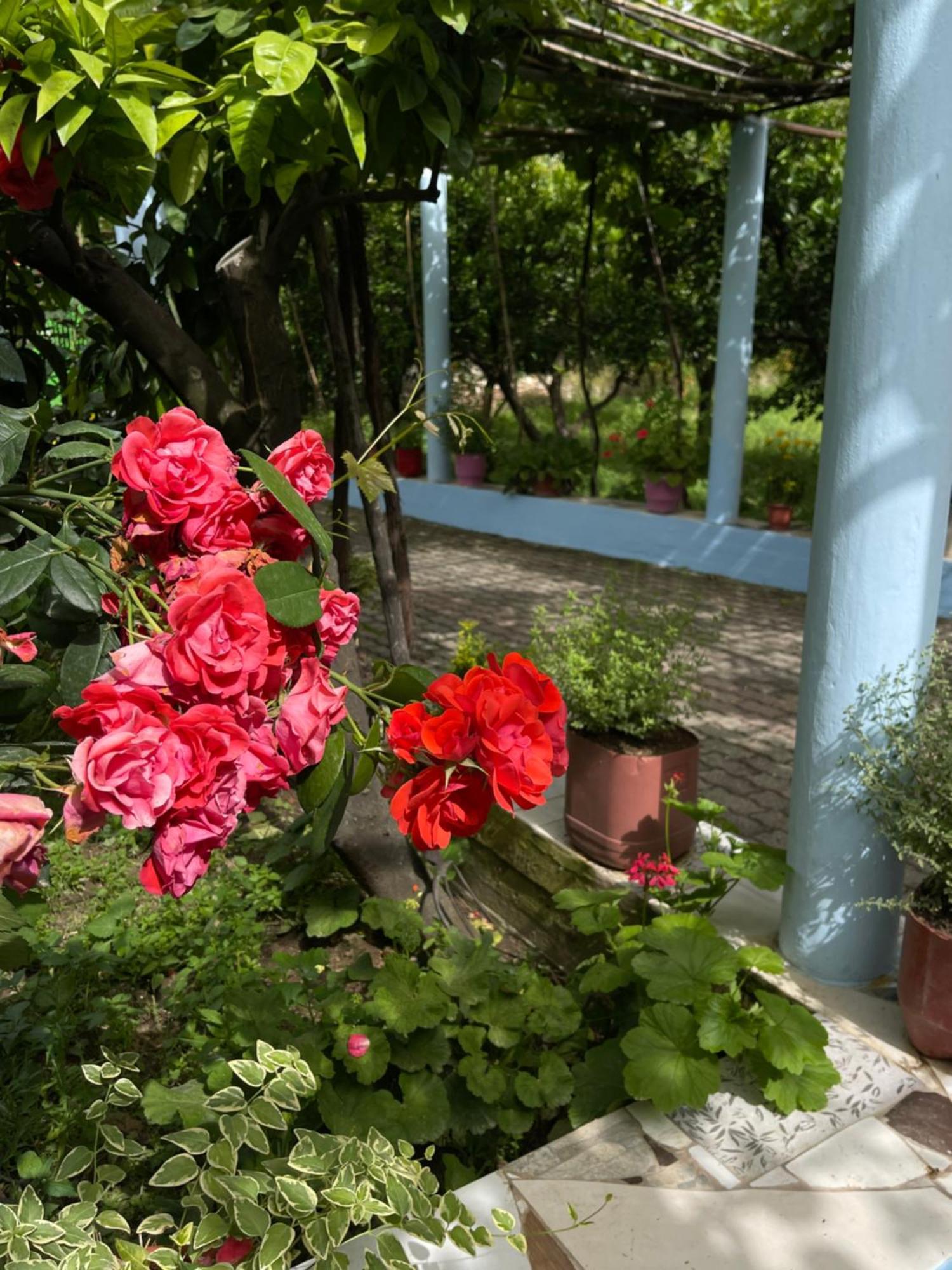 Villa Mance Μπεράτ Εξωτερικό φωτογραφία