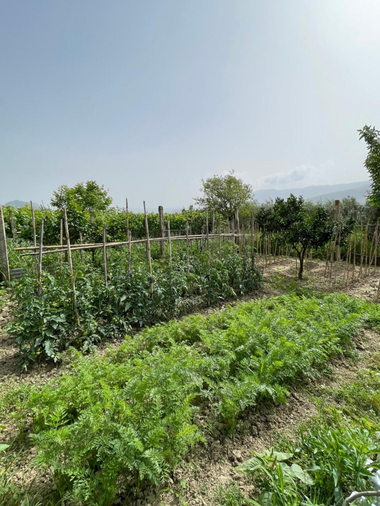 Villa Mance Μπεράτ Εξωτερικό φωτογραφία