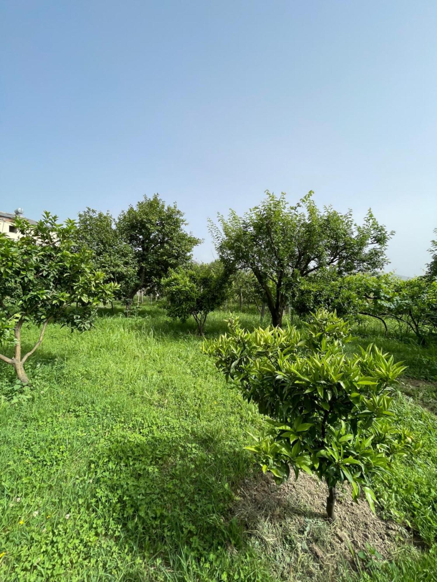 Villa Mance Μπεράτ Εξωτερικό φωτογραφία