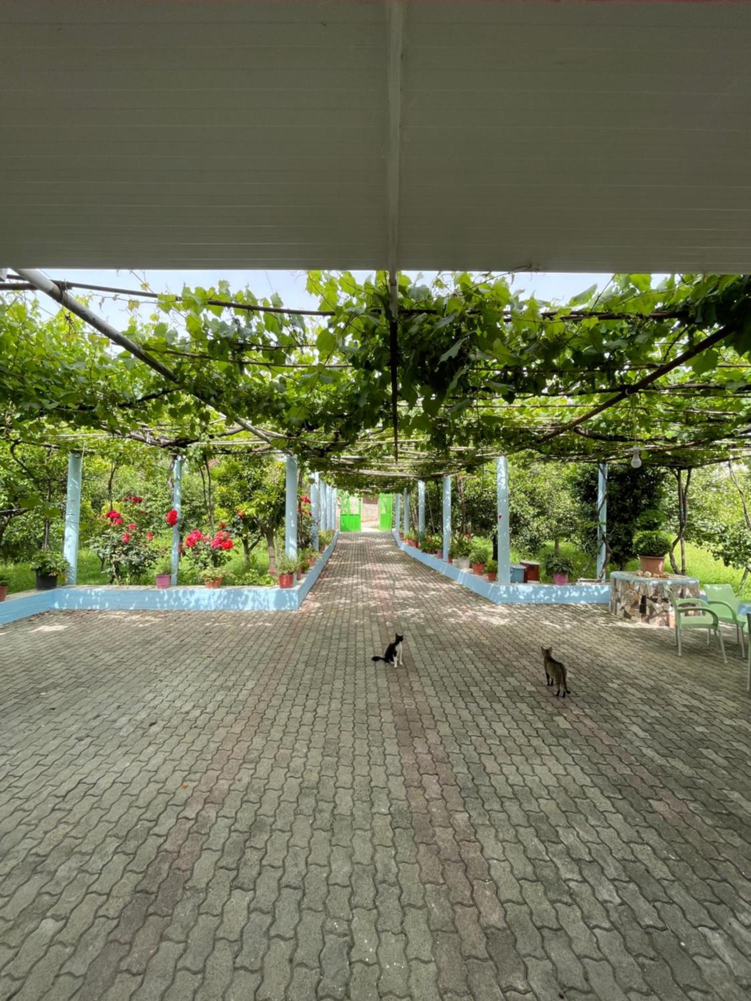 Villa Mance Μπεράτ Εξωτερικό φωτογραφία